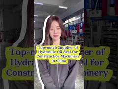 EX450-5 EX60-1 Hydraulische Zylinderdichtung Hitzebeständig