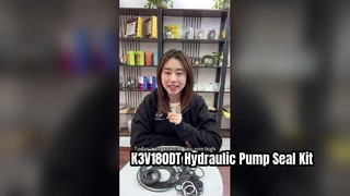 K3V180DT Hydraulische Pumpendichtung