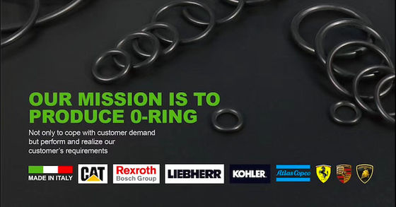 K7V160 Hochdruckpumpen-Dichtungskit Skelettöldichtung